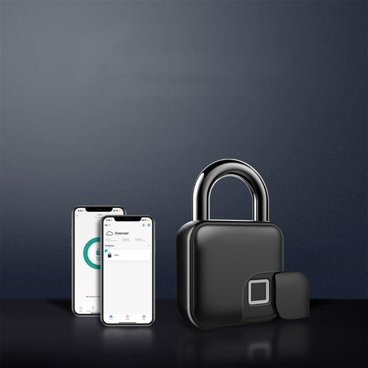 SafeLink Fingerprint Lock